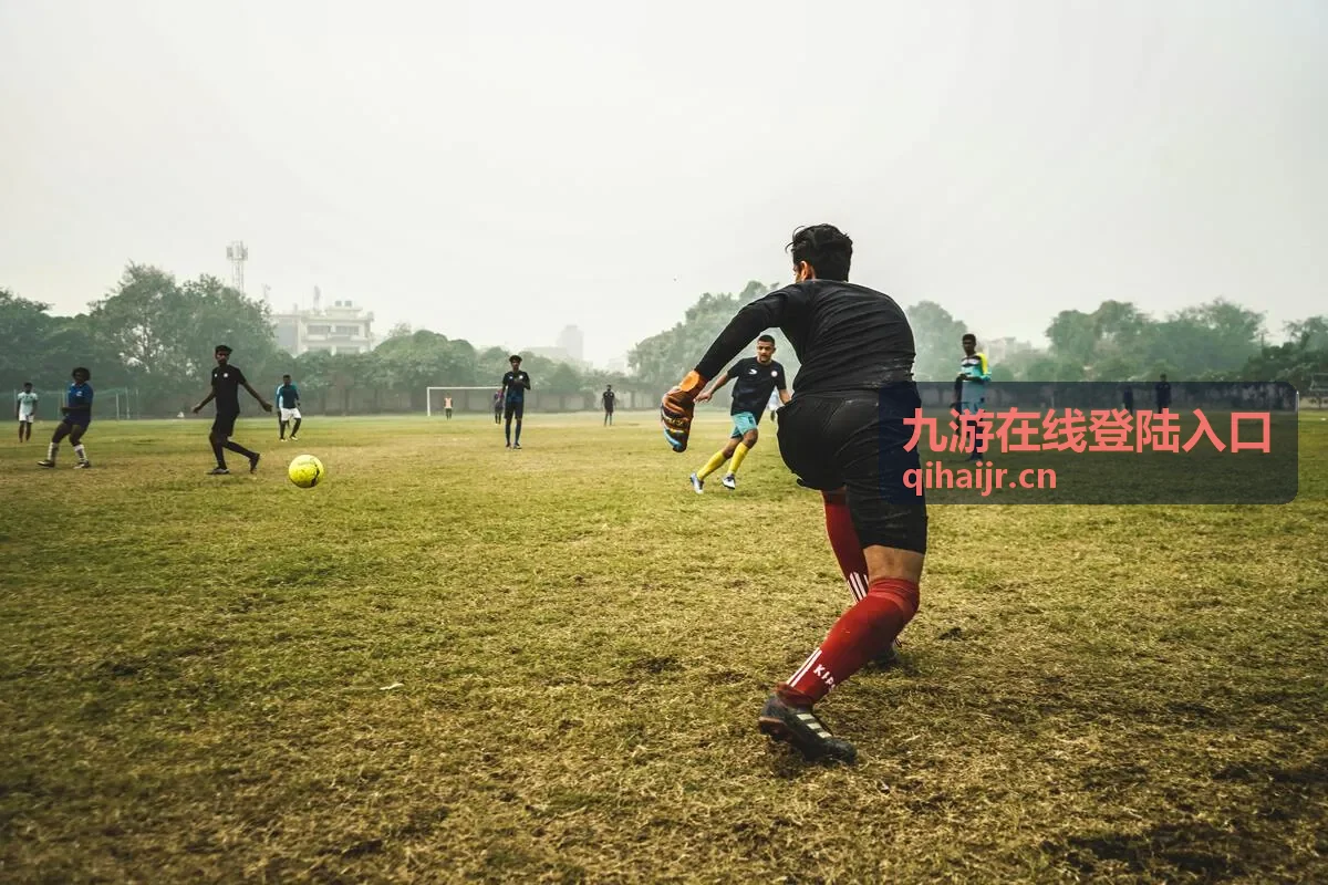 九游在线登陆入口安全提醒设置示意